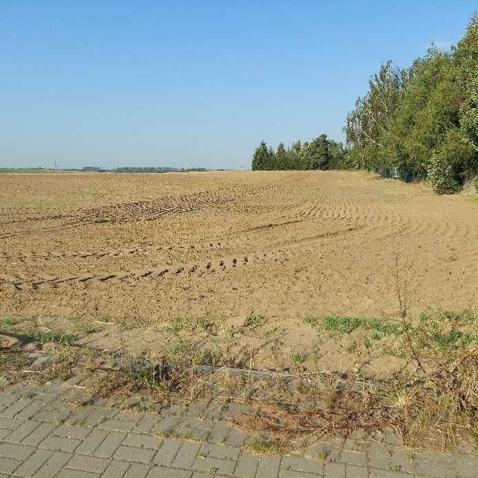 Działka budowlana Żalno. Zdjęcie 7