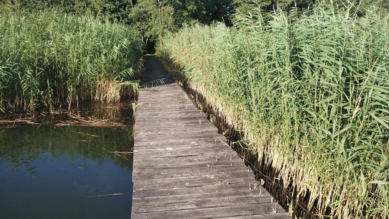 Działka rekreacyjna Słupia. Zdjęcie 5