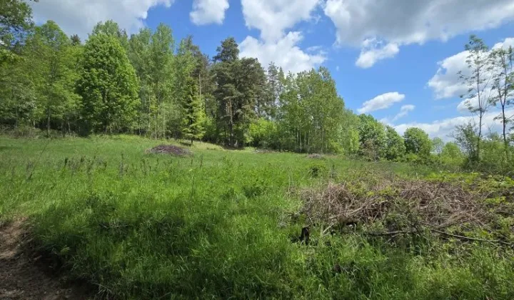 Działka rolna Kurów