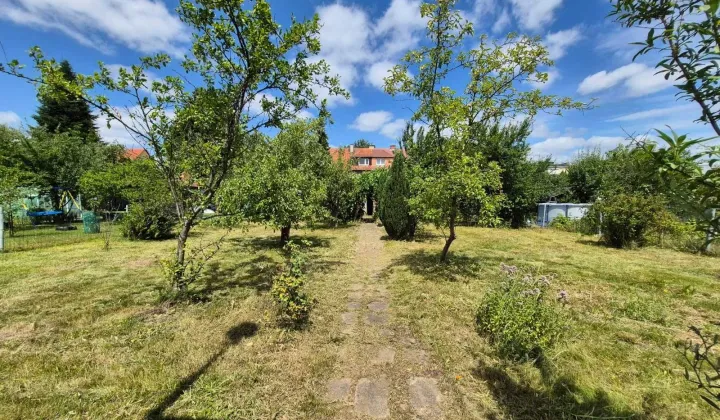 Działka rod Legnica, ul. Słoneczna