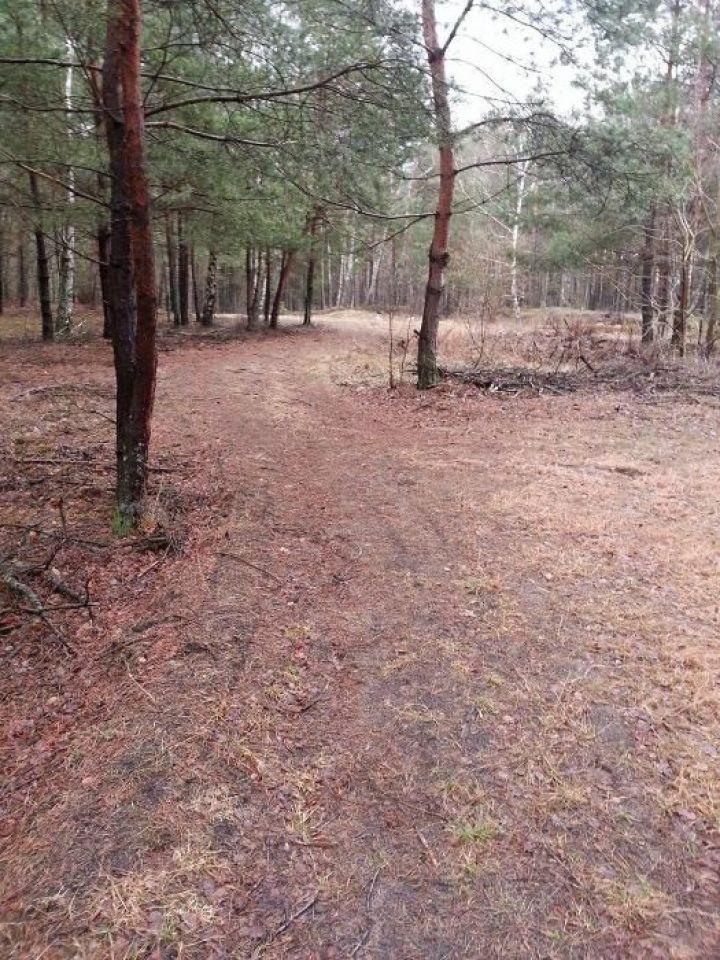 Działka budowlana Duchnów. Zdjęcie 2