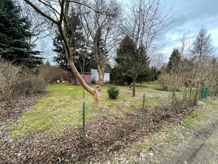 Działka rod Warszawa Siekierki, ul. Antoniewska. Zdjęcie 6