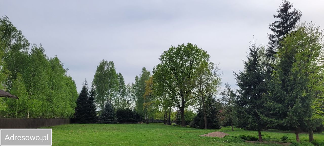 Działka rolno-budowlana Kłudno. Zdjęcie 3