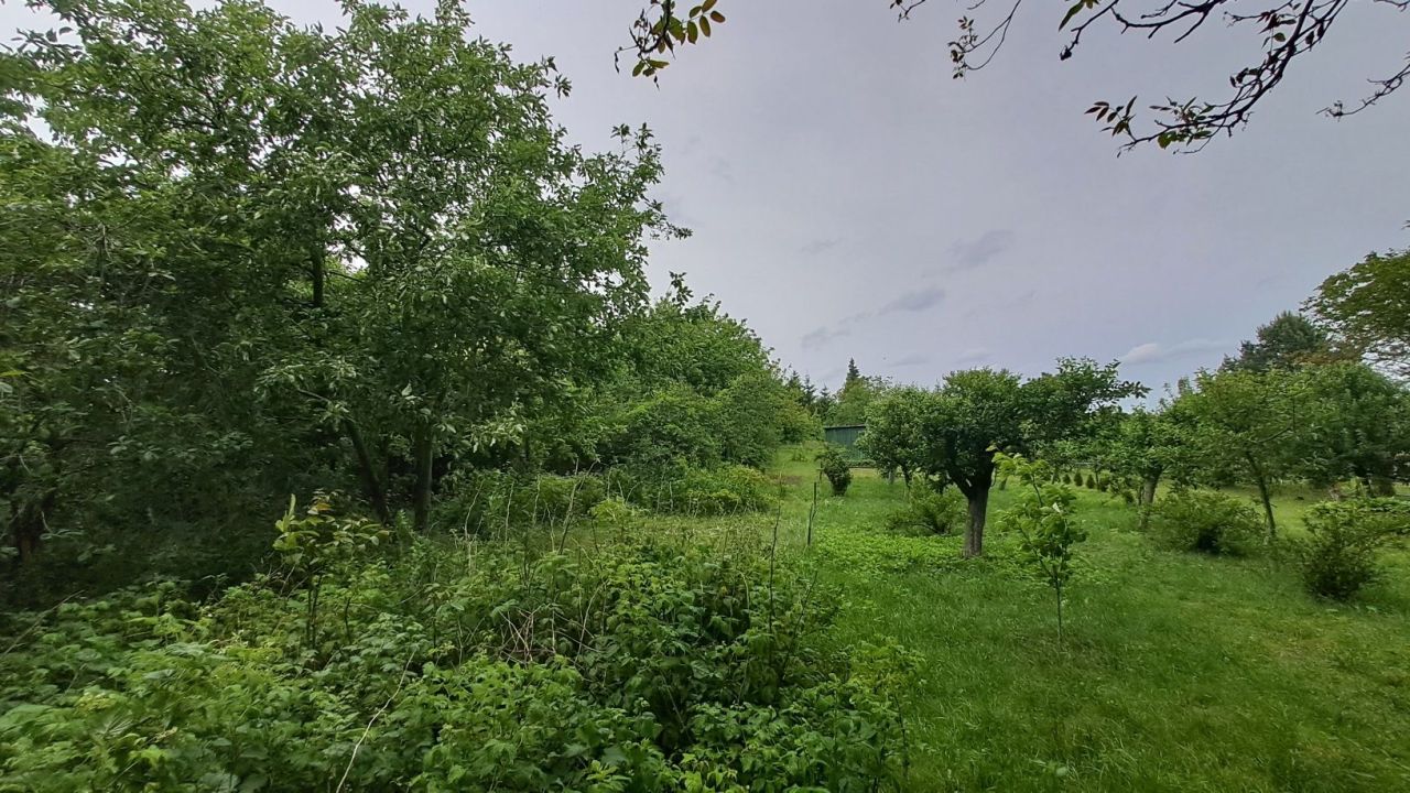 Działka rod Ciechanów. Zdjęcie 6