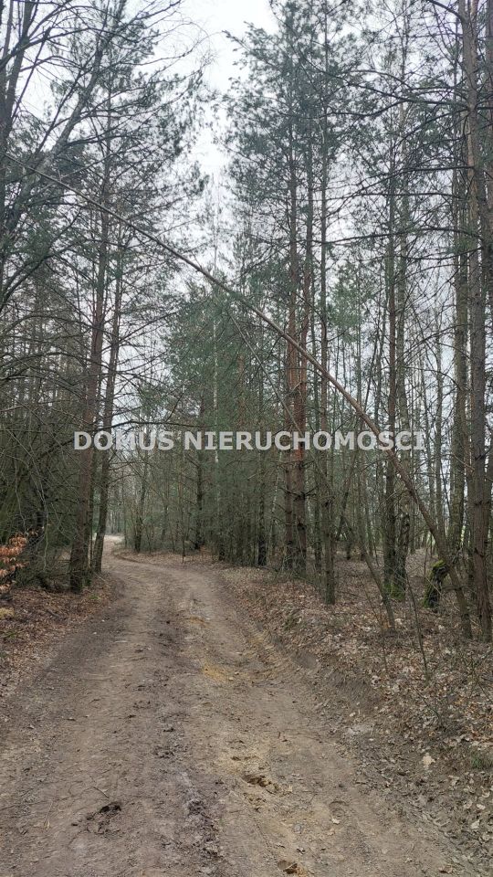 Działka inwestycyjna Grzmiąca. Zdjęcie 7