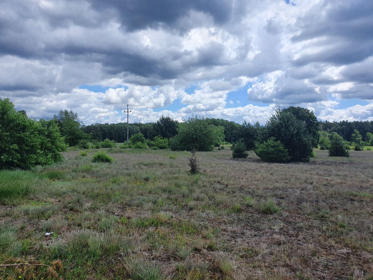 Działka budowlana Kępa Niemojewska. Zdjęcie 7