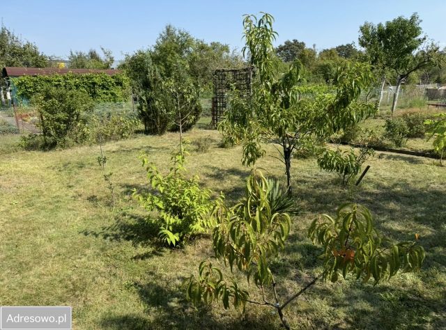 Działka rekreacyjna Wrocław Psie Pole, ul. Irysowa. Zdjęcie 1