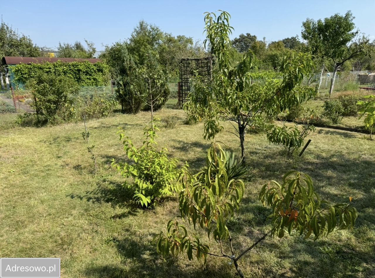 Działka rekreacyjna Wrocław Psie Pole, ul. Irysowa