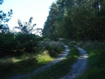 Działka rolno-budowlana Śmiardowo Złotowskie. Zdjęcie 4