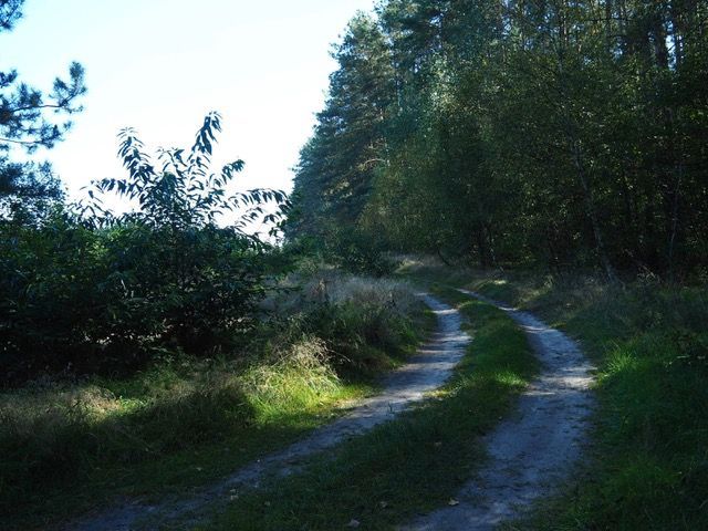 Działka rolno-budowlana Śmiardowo Złotowskie. Zdjęcie 5