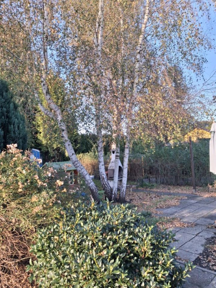 Działka rod Szczecin Wielgowo, ul. Tatarakowa. Zdjęcie 6