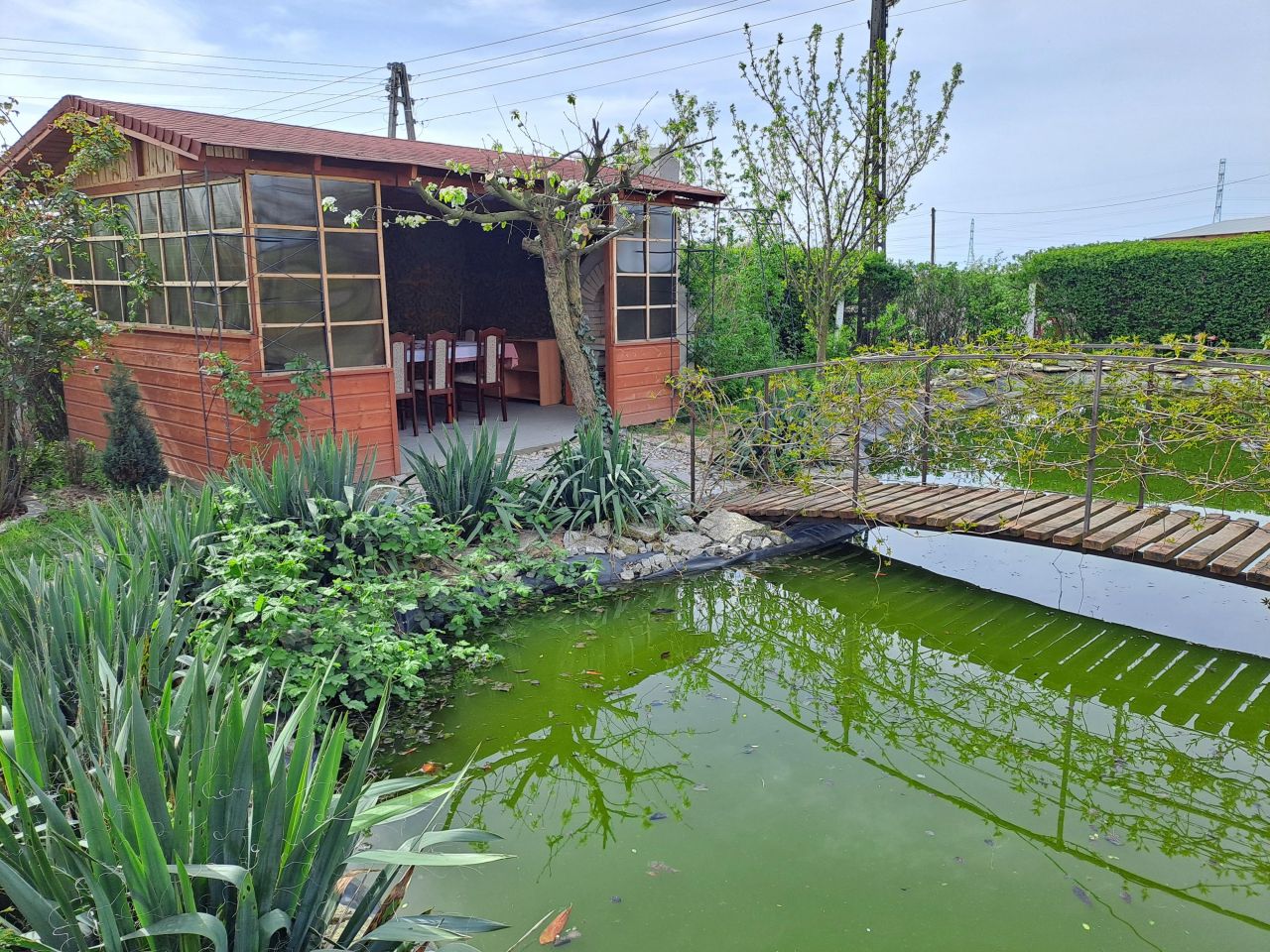 dom wolnostojący, 5 pokoi Szymanowice. Zdjęcie 15