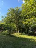 Działka rod Warszawa Bielany, ul. Rodziny Połanieckich. Zdjęcie 2
