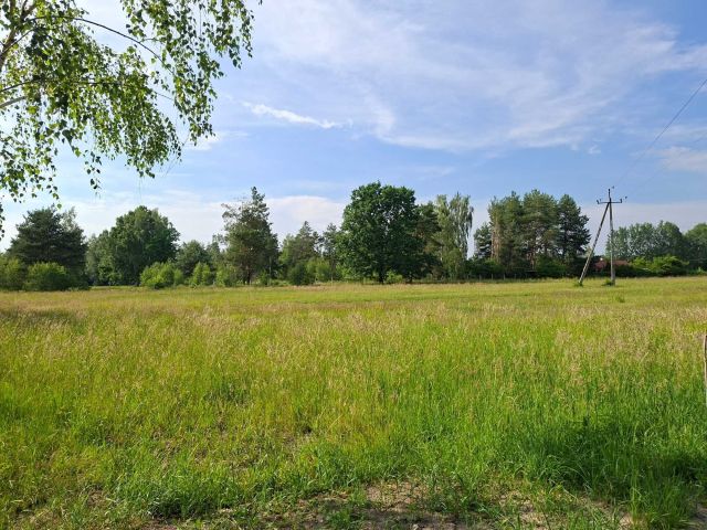Działka rekreacyjna Joachimów-Mogiły. Zdjęcie 1