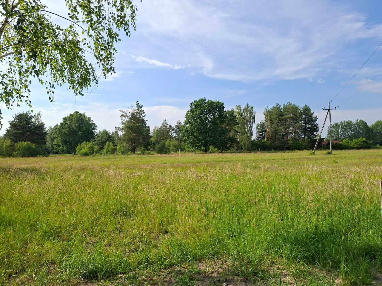 Działka rekreacyjna Joachimów-Mogiły. Zdjęcie 1