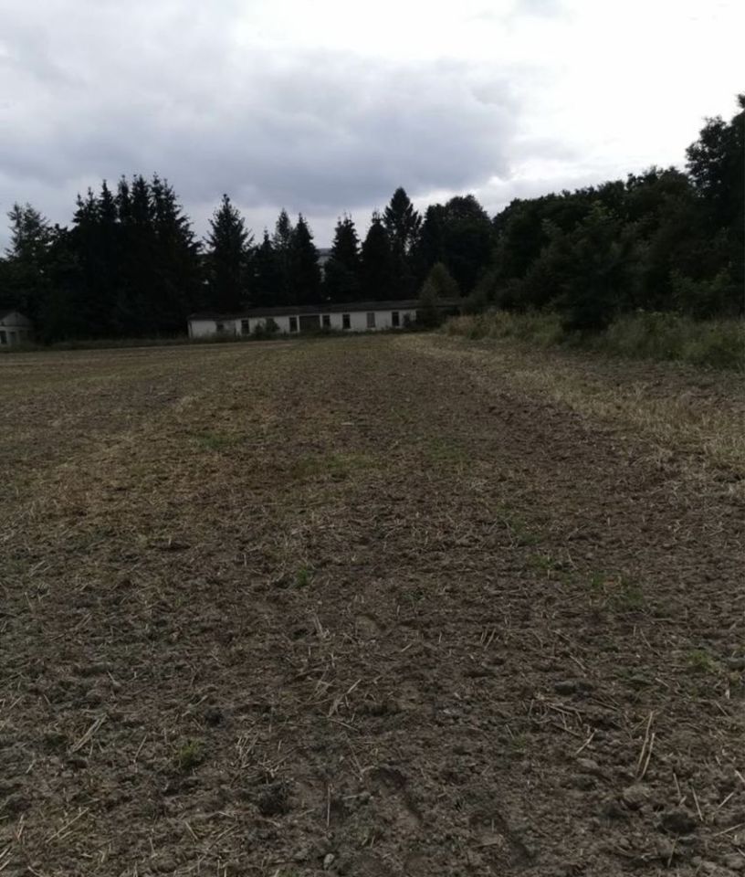 Działka inwestycyjna Lipka. Zdjęcie 2