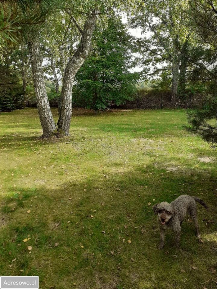 dom wolnostojący, 5 pokoi Ruciane-Nida, ul. Gruntowa. Zdjęcie 11