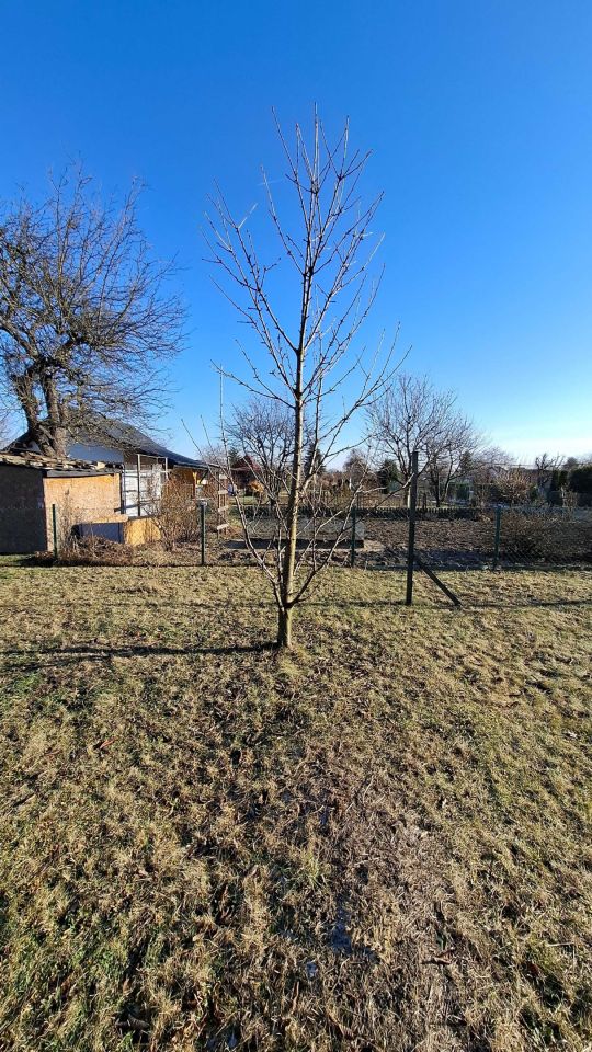 Działka rod Jelcz-Laskowice, ul. Działkowa. Zdjęcie 6