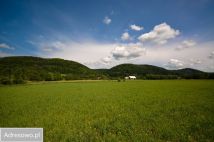 Działka budowlana Jaworek. Zdjęcie 1