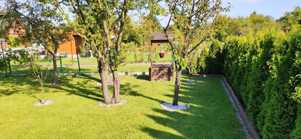 Działka rod Kielce, ul. Gustawa Morcinka. Zdjęcie 4