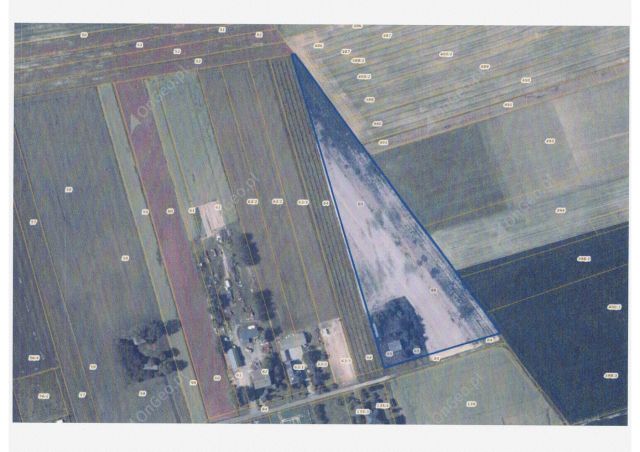 Działka siedliskowa Janowice. Zdjęcie 1