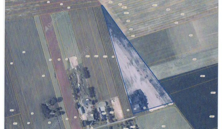 Działka siedliskowa Janowice