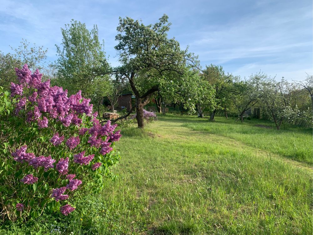 Działka rod Gdańsk Orunia. Zdjęcie 7