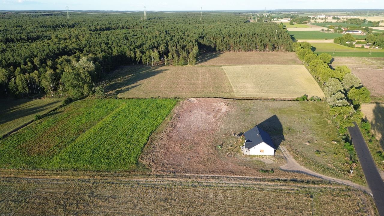 Działka budowlana Dąbrowa Wielka. Zdjęcie 1