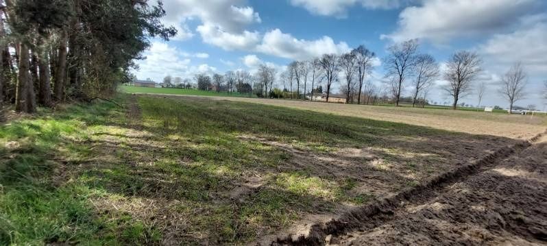 Działka budowlana Szydłów-Kolonia. Zdjęcie 4