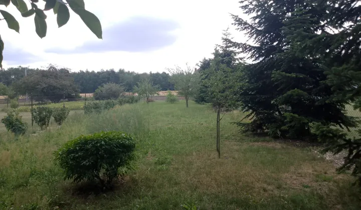 Działka rolno-budowlana Dziewkowice, ul. Kolejowa
