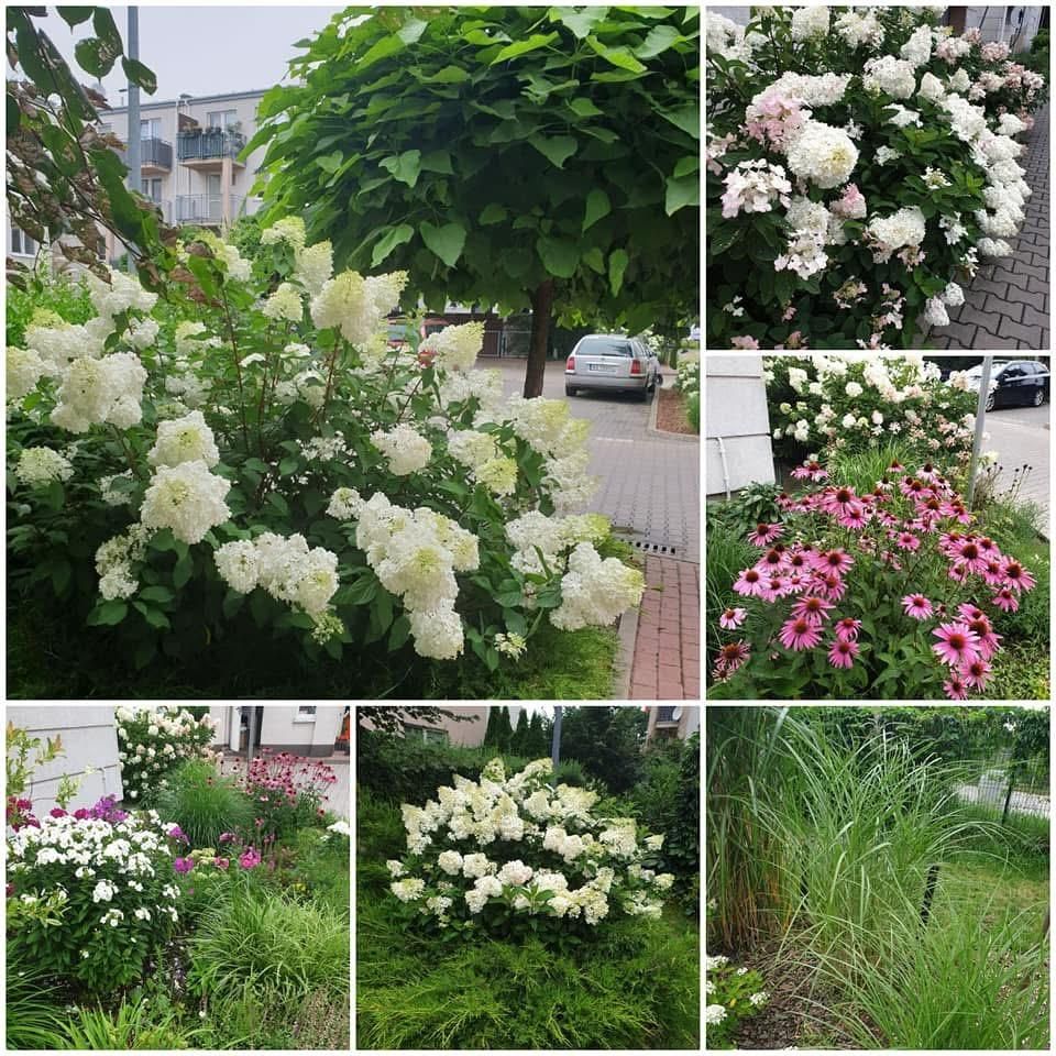 Mieszkanie 3-pokojowe Warszawa Białołęka, ul. Skarbka z Gór. Zdjęcie 19
