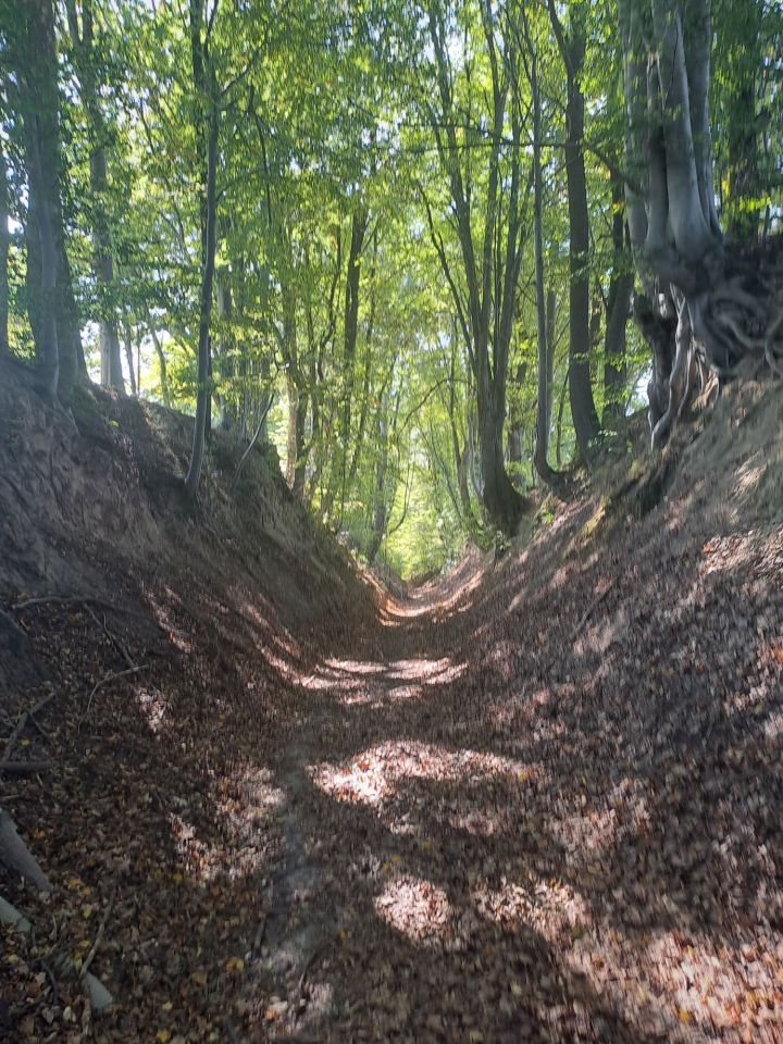 dom wolnostojący Szewnia Górna. Zdjęcie 4