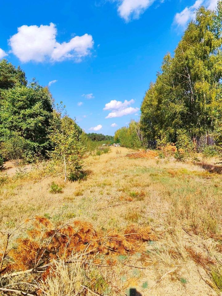 Działka rolno-budowlana Kiciny. Zdjęcie 2