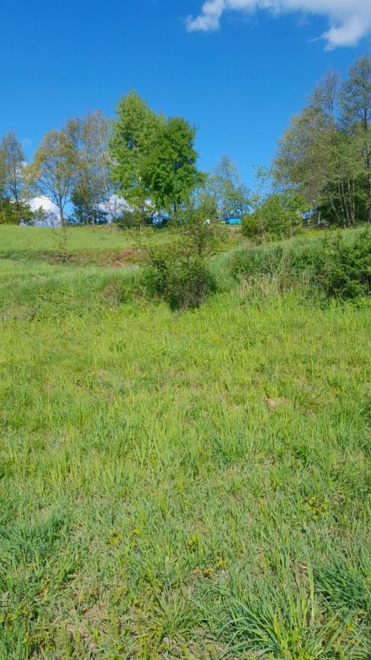 Działka rolna Kulerzów. Zdjęcie 4