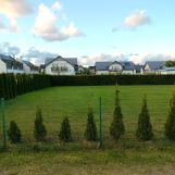 Działka budowlana Dębki, ul. Spokojna. Zdjęcie 3