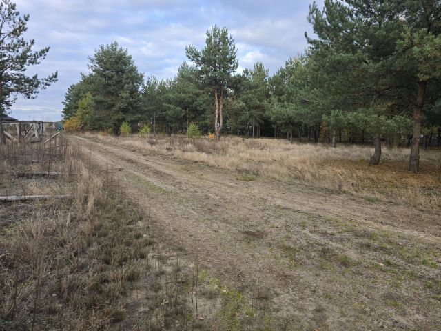 Działka budowlana Zabłocie. Zdjęcie 1