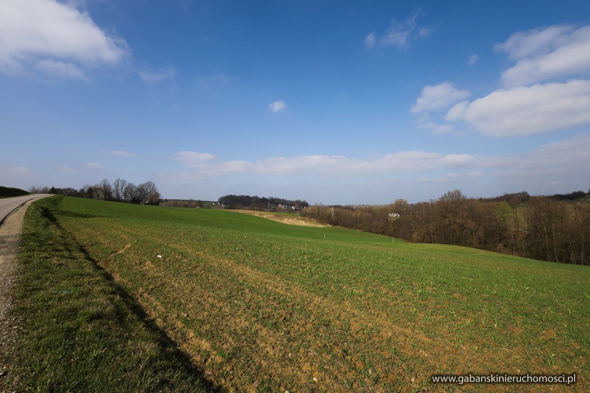 Działka budowlana Zwiernik. Zdjęcie 13