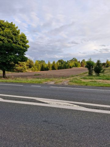 Działka rolno-budowlana Genowefa Borki. Zdjęcie 1