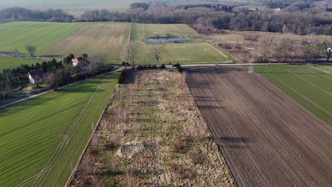 Działka budowlana Kierzkowo. Zdjęcie 3