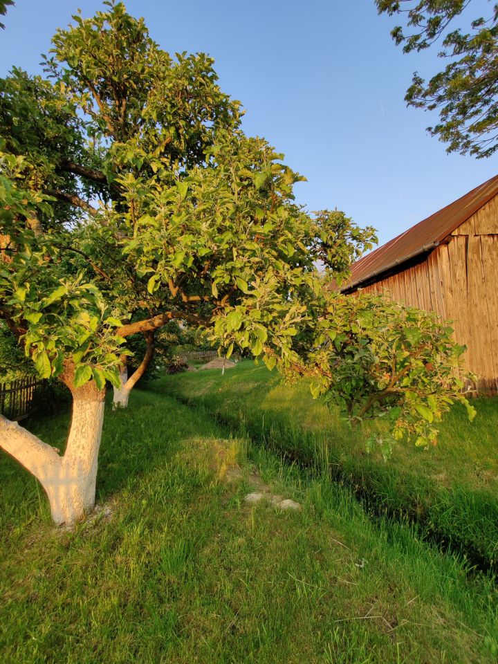 dom wolnostojący, 6 pokoi Gościeszowice. Zdjęcie 24