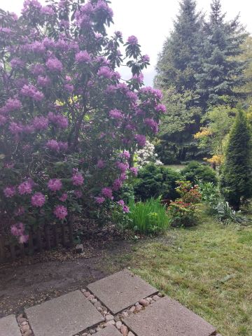 Działka rekreacyjna Łódź Bałuty, ul. św. Teresy od Dzieciątka Jezus. Zdjęcie 1