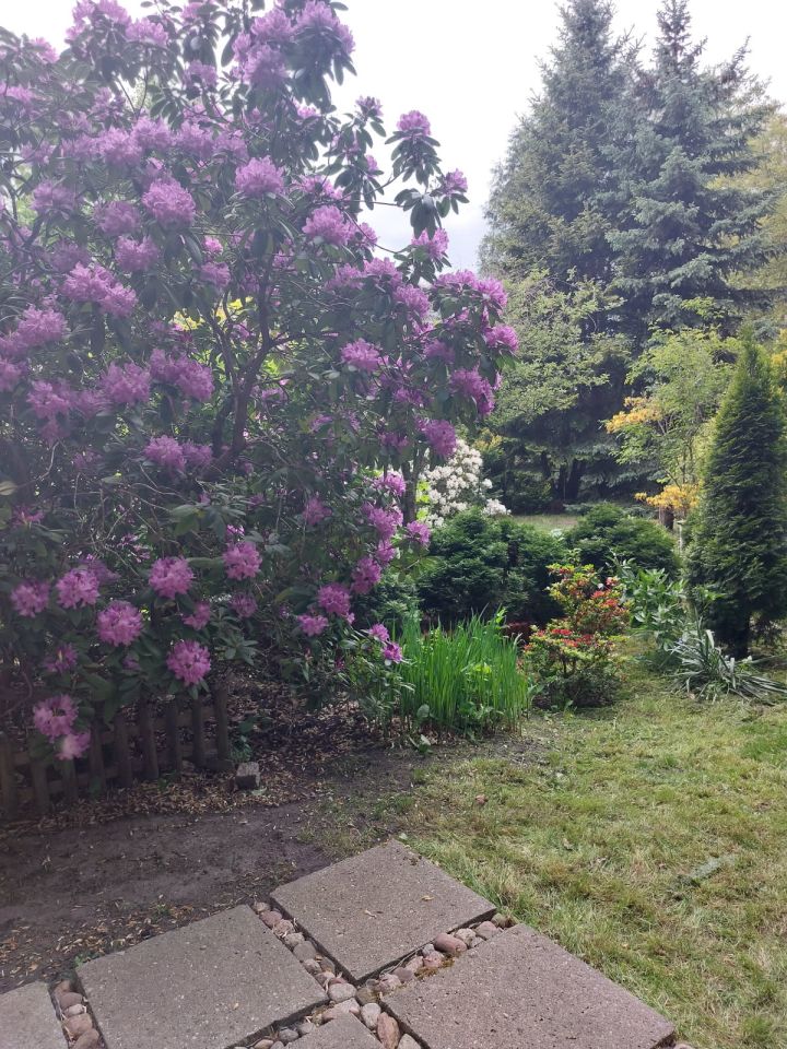 Działka rekreacyjna Łódź Bałuty, ul. św. Teresy od Dzieciątka Jezus