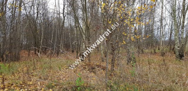 Działka budowlana Terenia. Zdjęcie 4