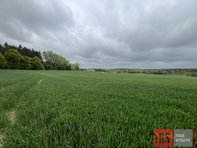 Działka budowlana Niemierze. Zdjęcie 3
