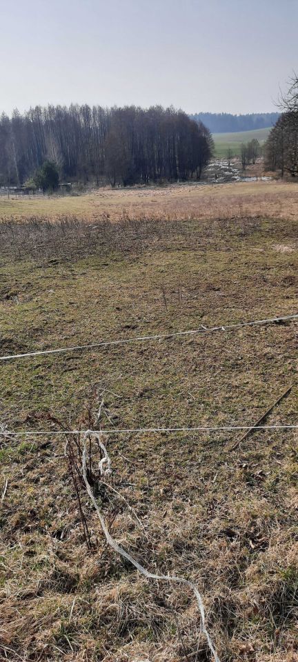 Działka rolna Stare Krzywe. Zdjęcie 4