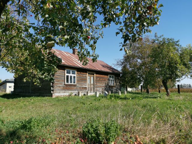 siedlisko, 4 pokoje Holeszów Studzienice. Zdjęcie 1