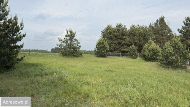 Działka budowlana Rybno, ul. Kolonia. Zdjęcie 1