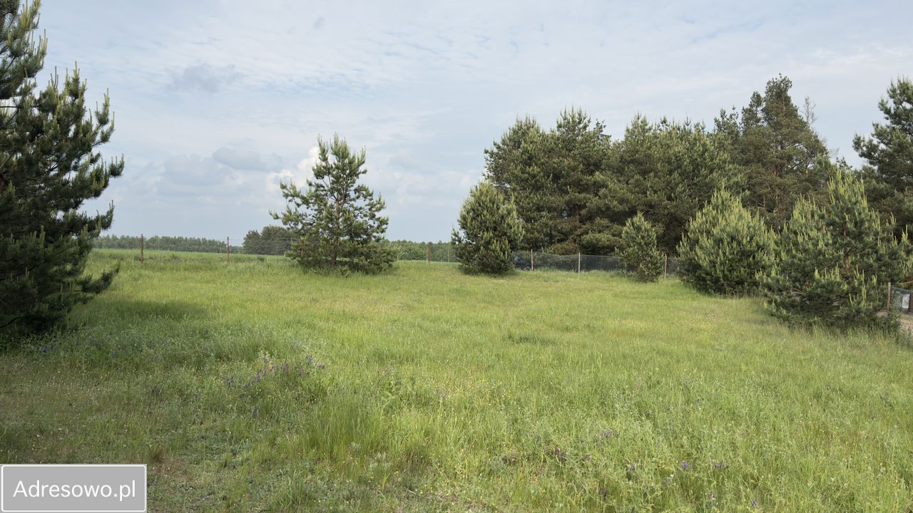 Działka budowlana Rybno, ul. Kolonia