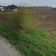 Działka rolno-budowlana Wilków, ul. Urocza. Zdjęcie 2
