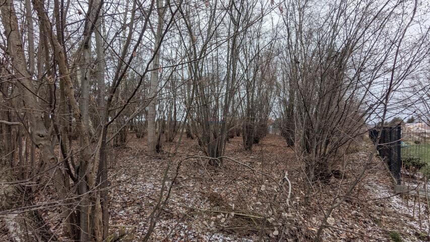 Działka budowlana Wola Mrokowska. Zdjęcie 3